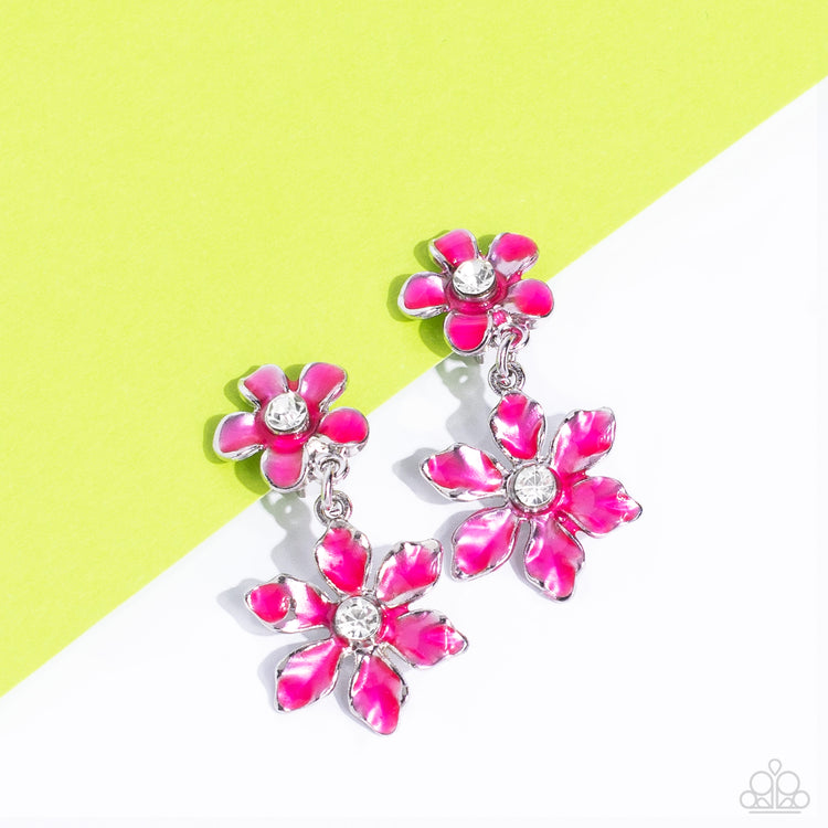 Transparent Talent - Pink 0241