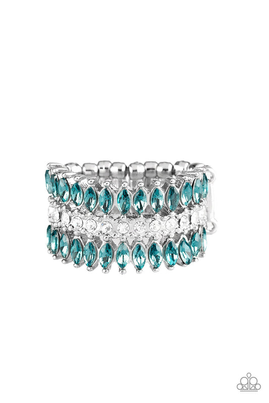 Treasury Fund - Blue 1643
