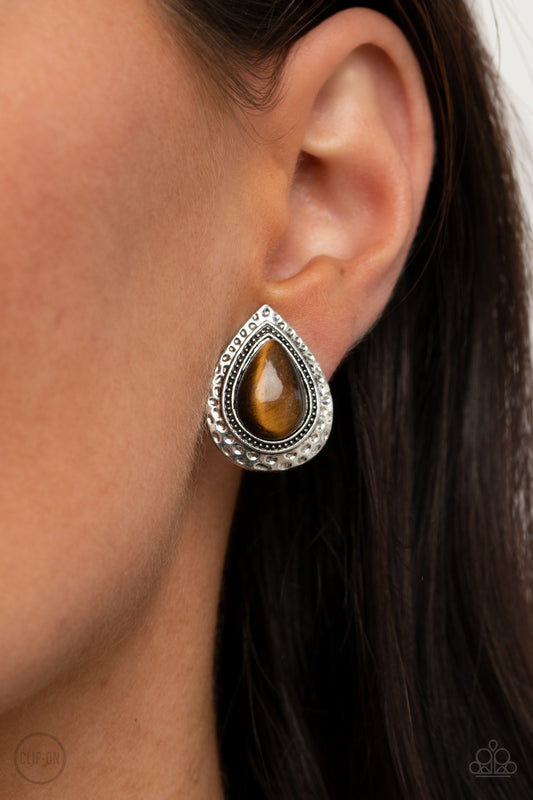 Desert Glow - Brown 1629