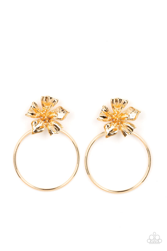 Buttercup Bliss - Gold 0101